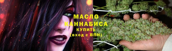 индика Рославль